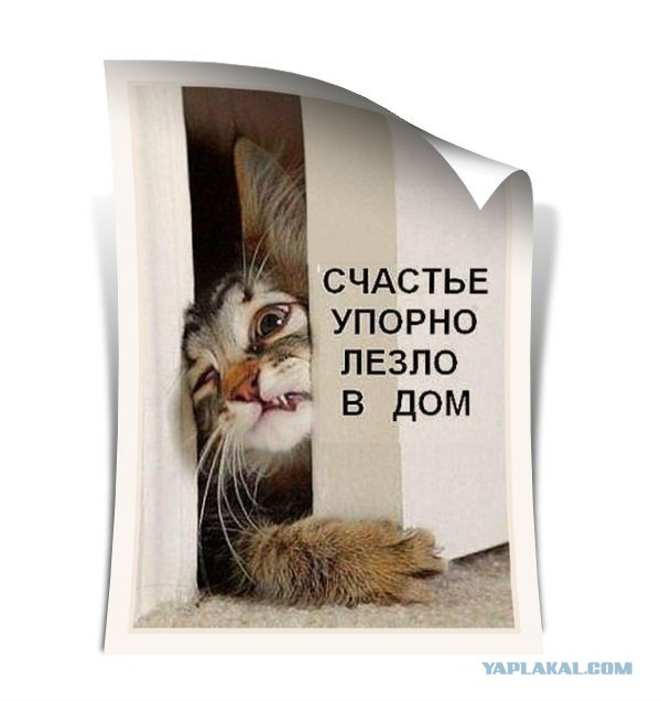 Мне только спросить