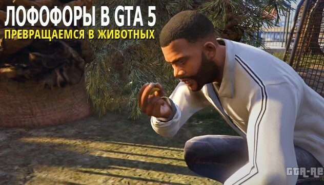 Гта 5 животные как стать. Гта с собакой. Gta 5 превращение в животных. Гта 5 как превращаются. Gta 5 лофофоры карта.