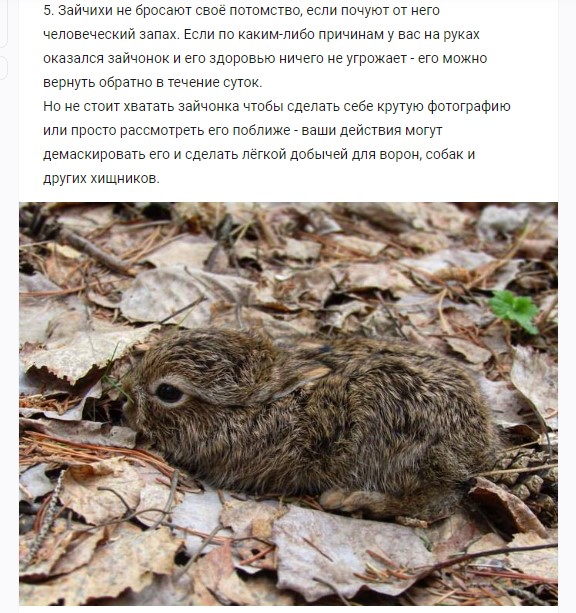 Я злой и стлашный!
