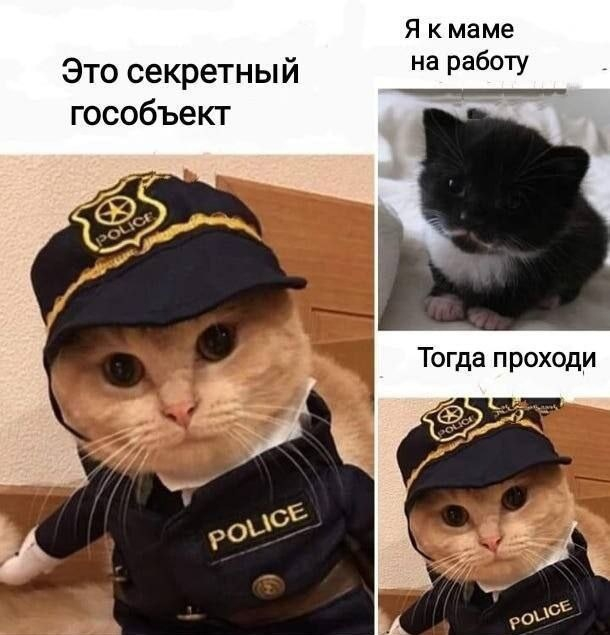 Никакие картинки и тексты