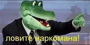 Возвращаешься домой, а там крокодилы..