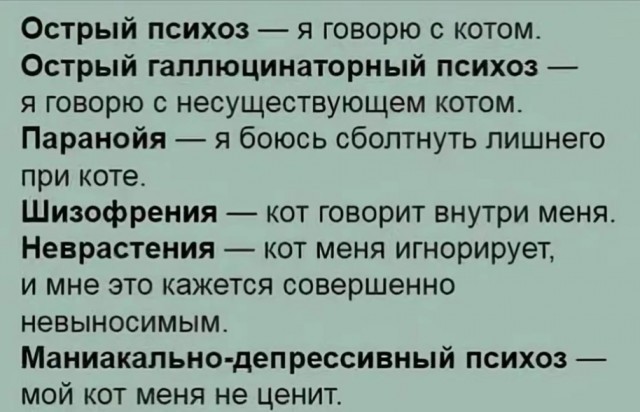 Так себе картинки 23.11.24