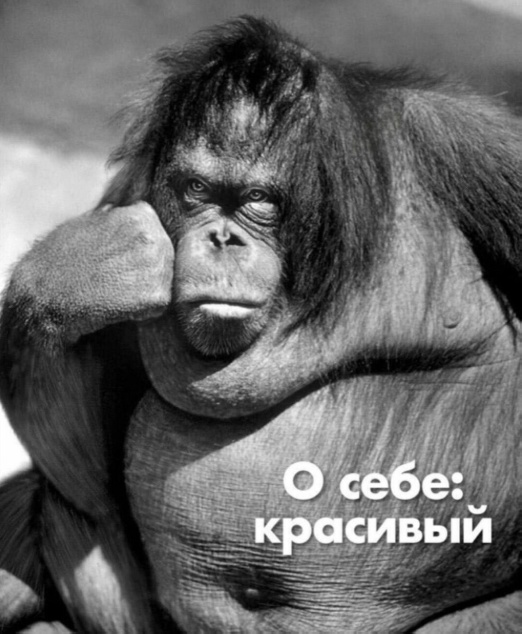Так себе картинки 14.03.25