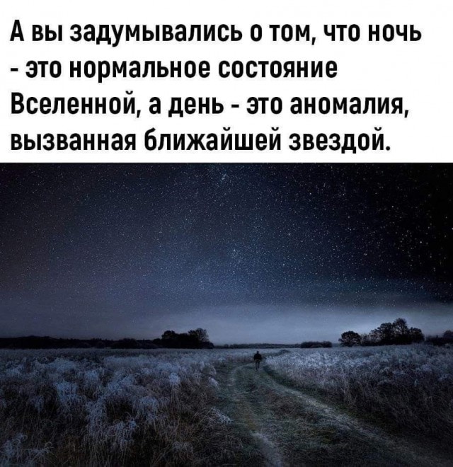 Весёлый полтишок 25.03.25
