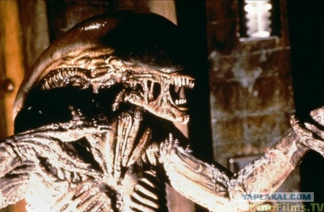 Метаморфоз