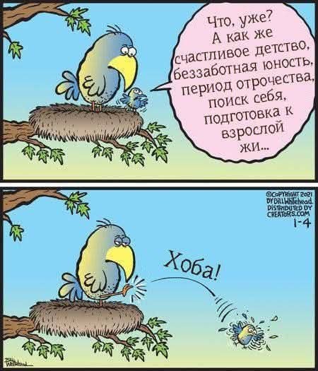 Маленькая пятница 02.07.25