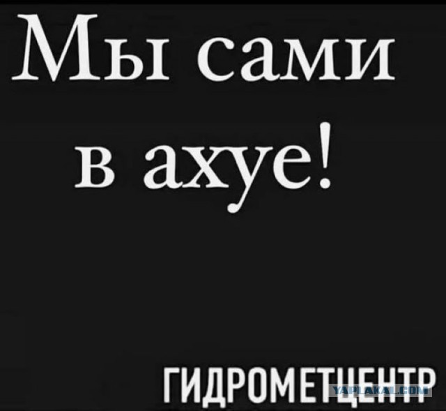Задолбали летние дожди...