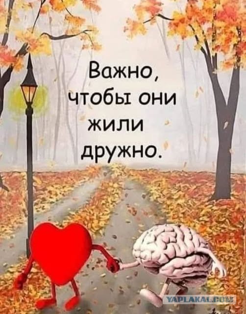Веселые картинки в пятницу (07.11)