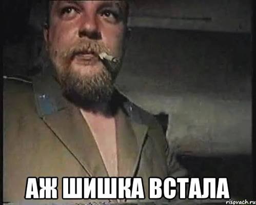 Вместо новогодней елки ростовская администрация установила огромную шишку.