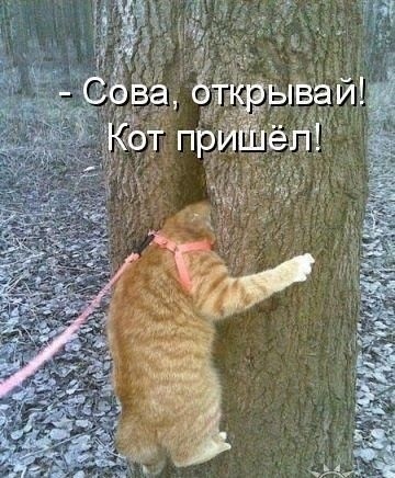 Так себе картинки 27.12.25