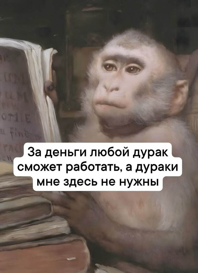 20773630.jpg