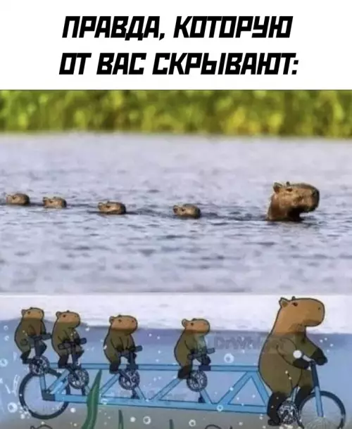 Картиночки, баянчики 06 марта