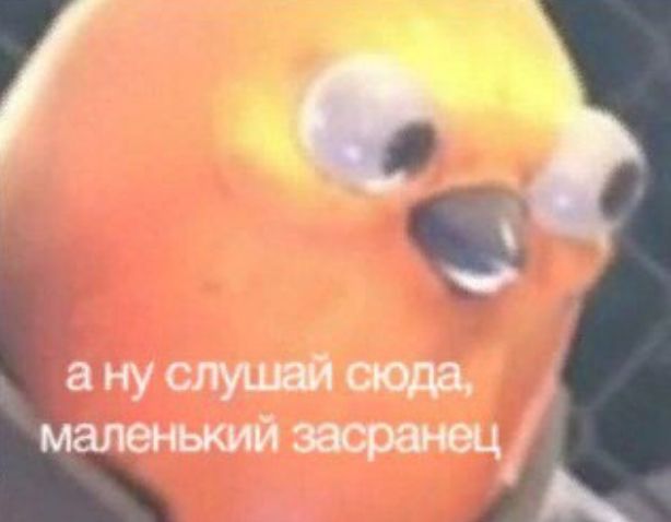 Мошенники пытались развести камчатского министра в MAX