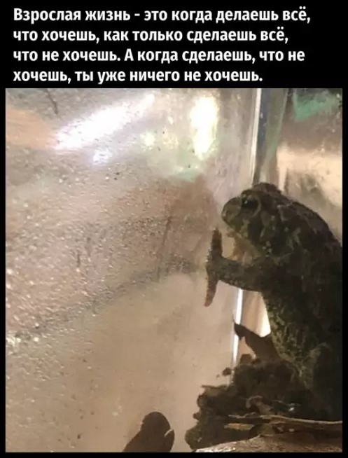 Картиночки, баянчики 24 марта