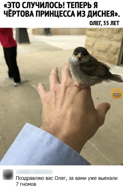 Пятничные картинки