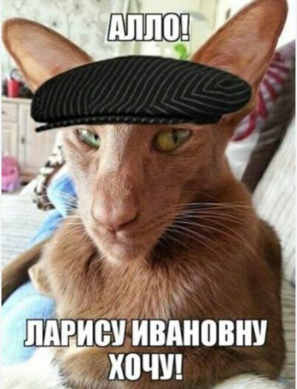 Вечерняя традиция