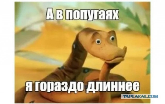 Генеральная Ассамблея ООН проголосовала за новую карту мира