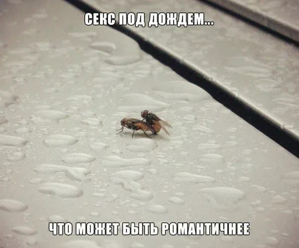 Отсутствие морально этических норм Vol.104