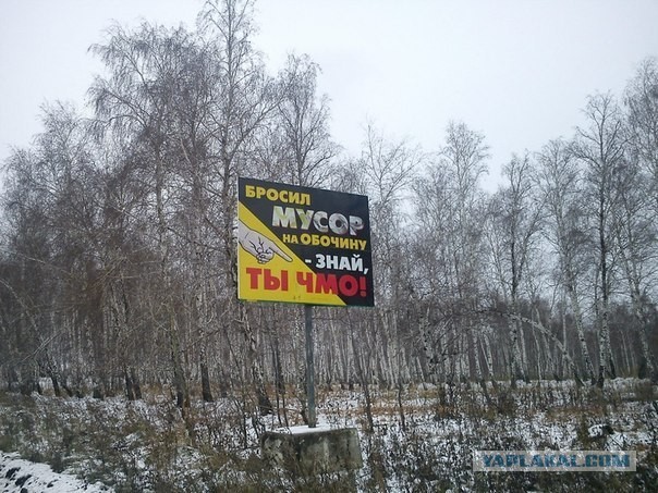 Лютая социалка
