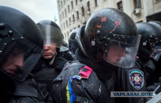 Беркут пошел на штурм