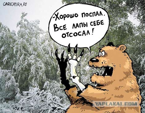 Весёлые картинки. Разбавим будни