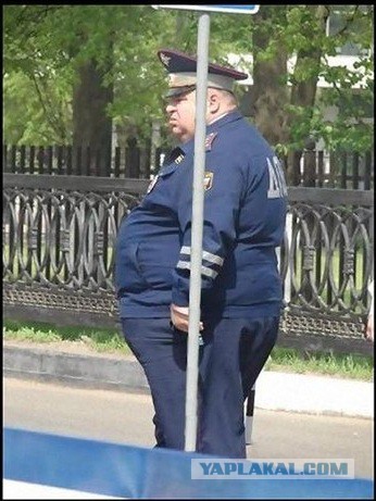 Новые приключения предпринимателей из ЗАО ГИБДД!