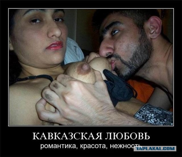Картинки