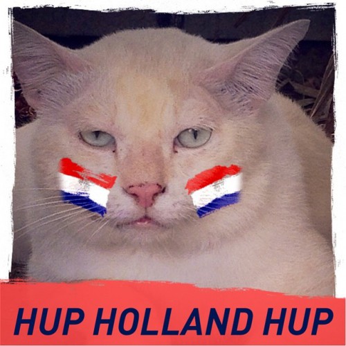 Чемпионат Мира 2014 Бразилия