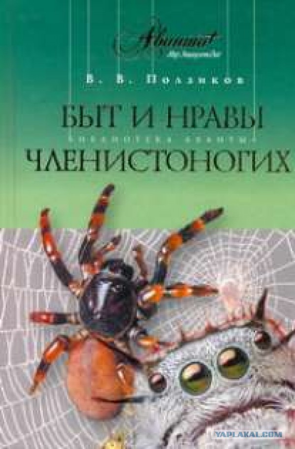 Маразмы из книжных магазинов