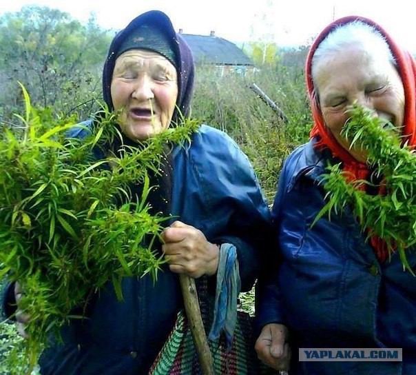 Краса России 2014