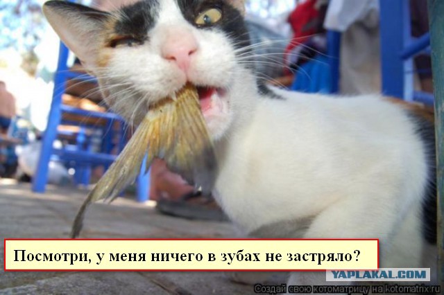 Очередная подборка приколов