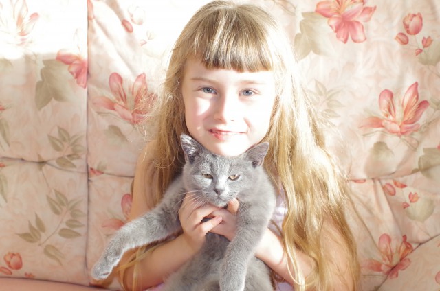 Котовторник 24.03.2015