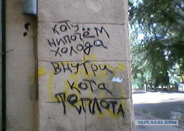 Когда корявые надписи на стенах смотрят в душу