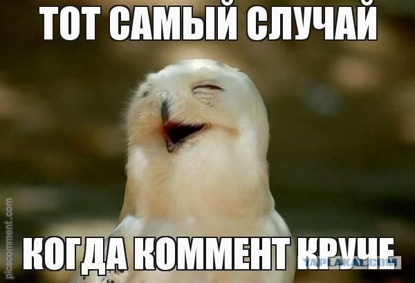 Есть еще порох!