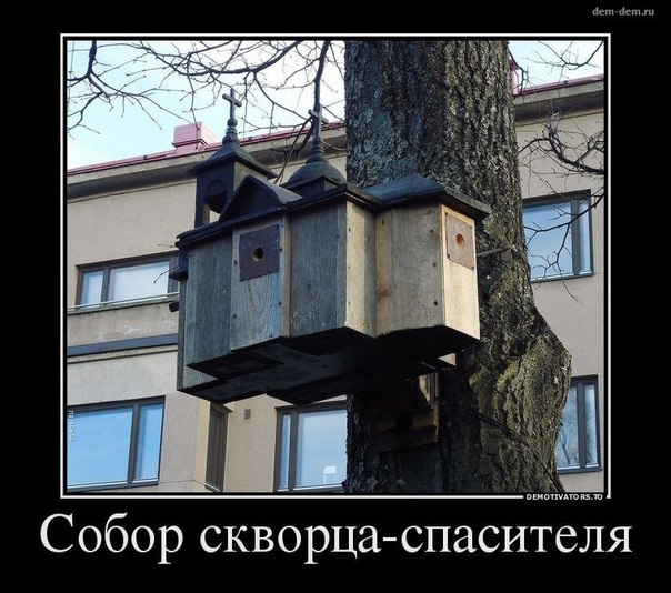 Забавные картинки из Сети