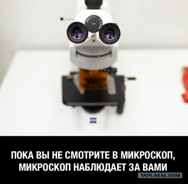Сборник "баянов" со всего Интернета - 2