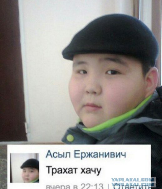 Просто попутчица