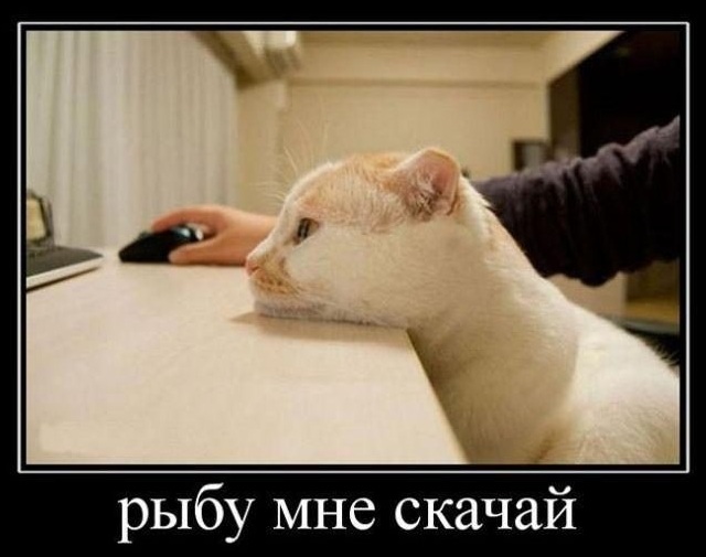 Картинки, СМСки из вашего тырнета