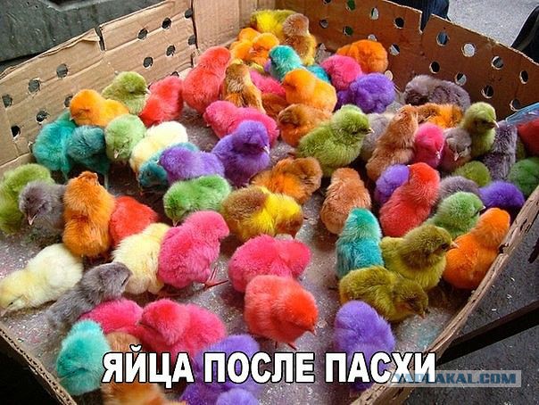 Смешные комментарии 03.05.2016