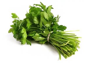 Юкка: уход и размножение