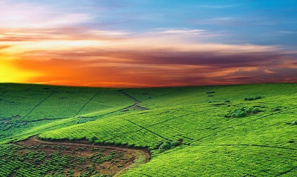 Картинки для отдыха глаз