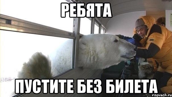 Прикольные животные