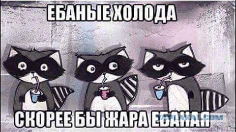Предпраздничный маразм на предстоящую неделю