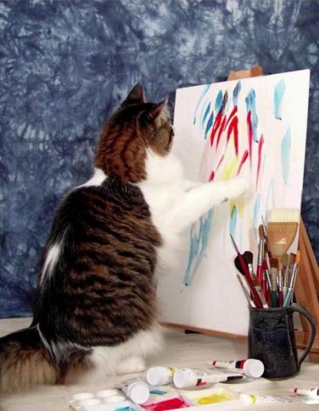 Коты из сети
