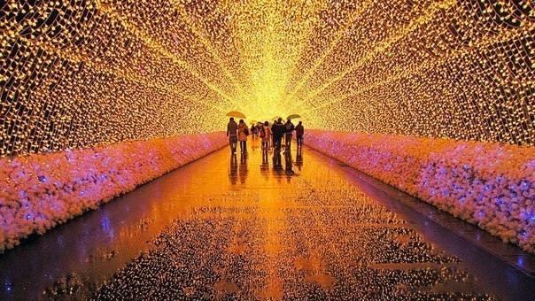 Моменты, запечатлённые на фото и просто позитив 5