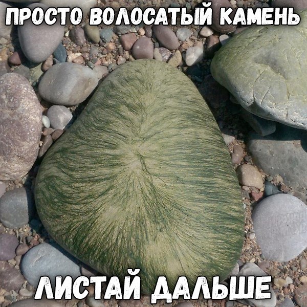 Подборка интересных и веселых картинок