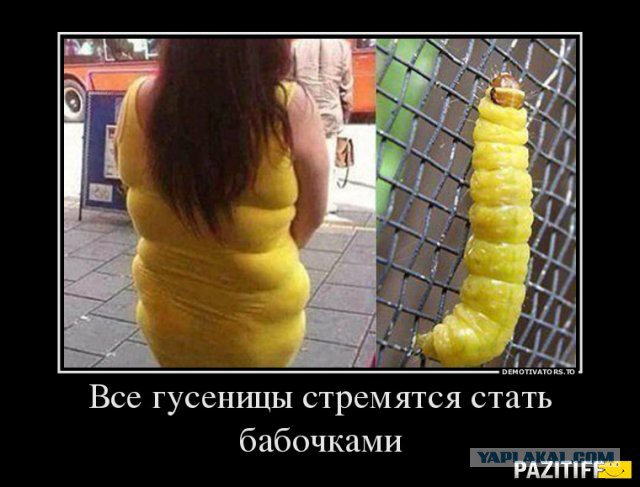Соцсети - и смех и грех