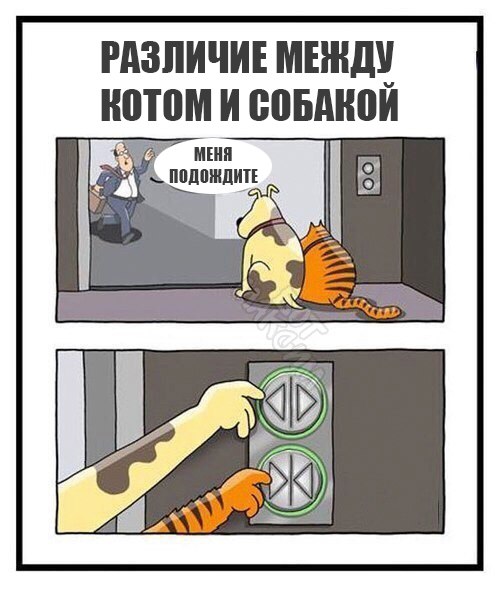 Журнал деградант