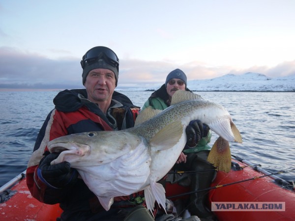 Отчет о рыбалке в Балтийском море