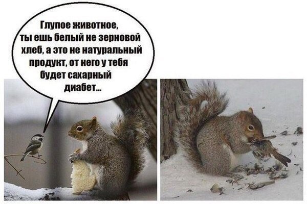 Субботняя вакханалия с большой дозой идиотизма